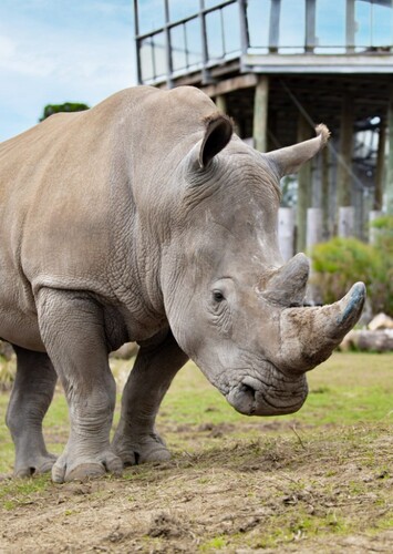 Sydney Zoo