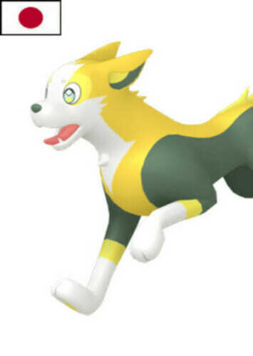 Sylphie's Boltund (Japanese)