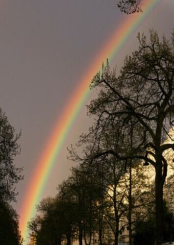 Symbol: Rainbow
