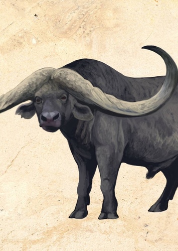 Syncerus antiquus