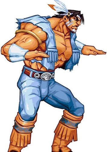 T. Hawk