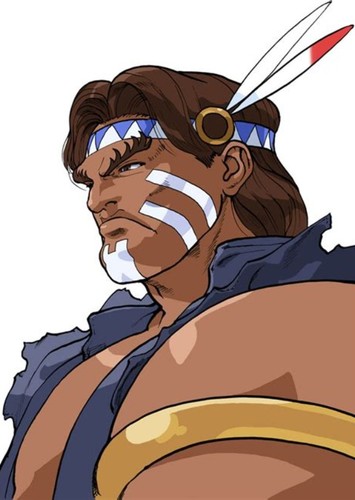 T. Hawk