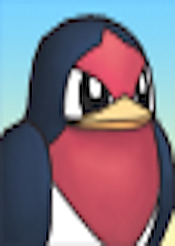 Taillow (English Dub)