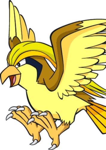 Tails's Pidgeot