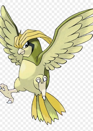 Tails's Pidgeotto