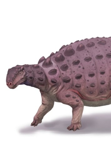 Talarurus