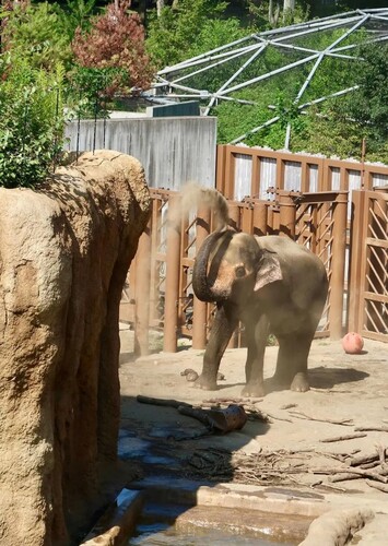 Tama Zoological Park