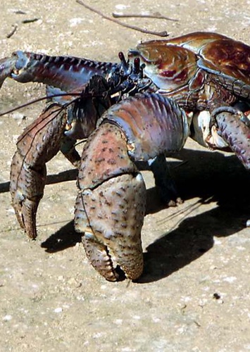 Tamatoa