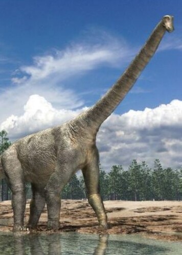 Tambatitanis