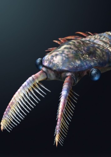 Tamisiocaris