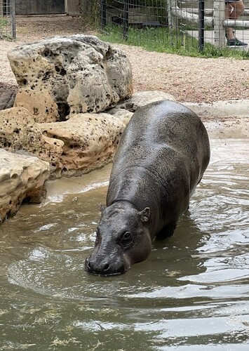 Tanganyika Wildlife Park