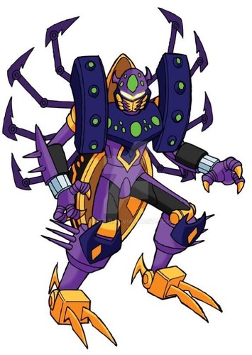 Tarantulas