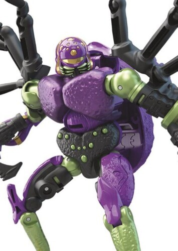 Tarantulas