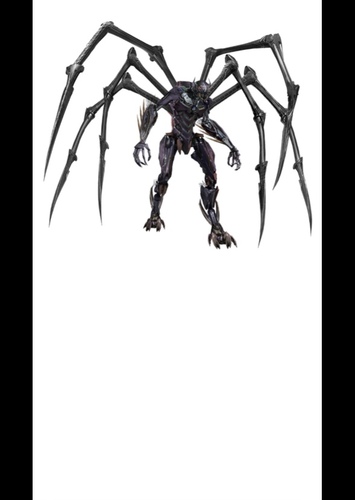 Tarantulas