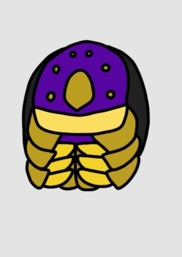Tarantulas