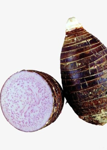 Taro