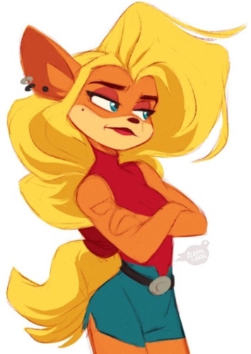 Tawna Bandicoot