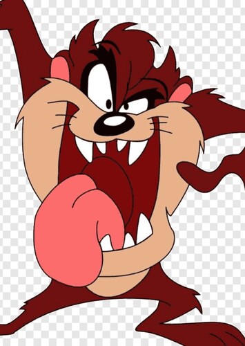 Taz