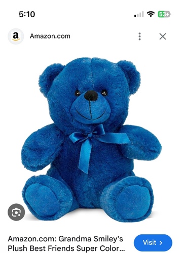 Teddy bear