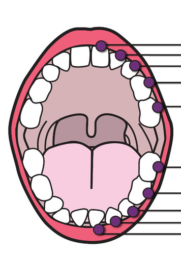 Teeth
