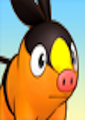 Tepig
