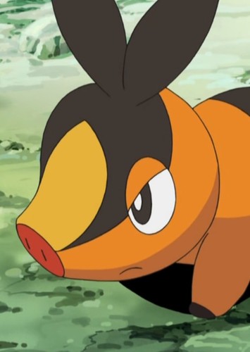 Tepig