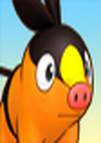 Tepig (English Dub)