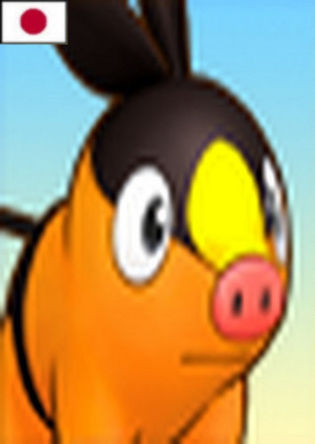 Tepig (Japanese)