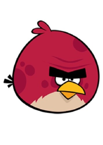 Terence