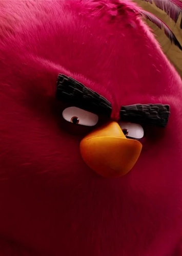 Terence