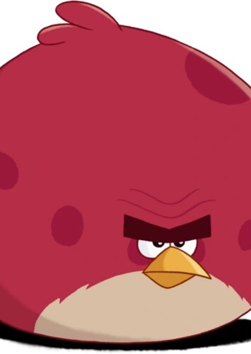 Terence