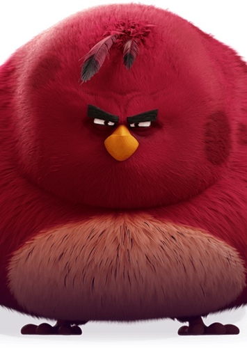 Terence