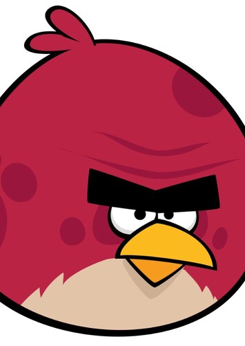 Terence The Big Brother Bird