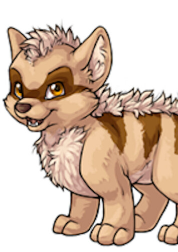 Terracoon