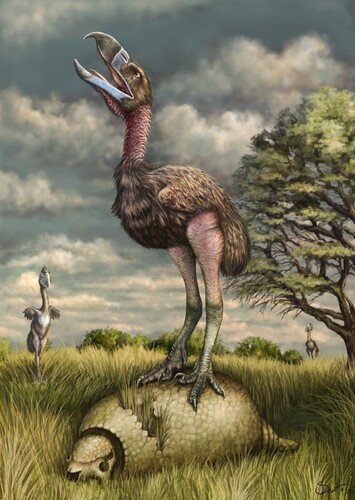 Terror Birds