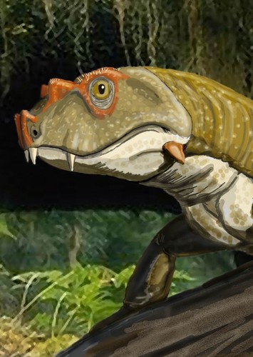 Tetraceratops