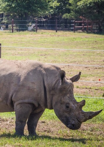 Texas Zoofari Park