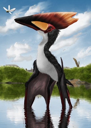 Thalassodromeus