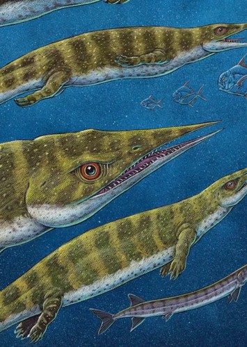 Thalattosaurus