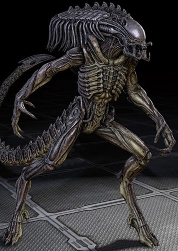 The Abomination