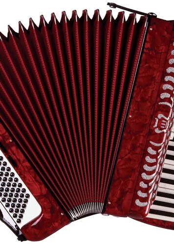 The Accordion Player