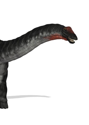The Apatosauruses