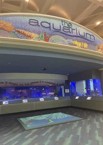 The Aquarium at Eastwood Mall