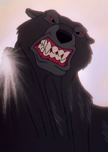 The Bear