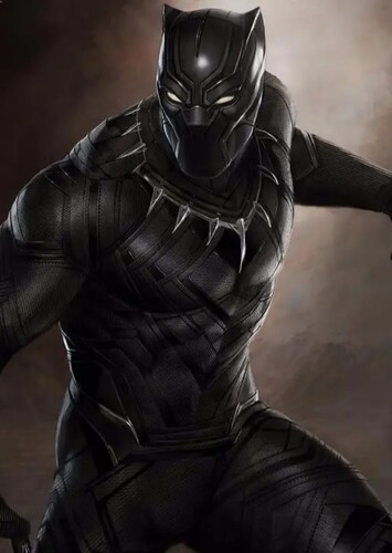 The Black Panther (King T'Challa)