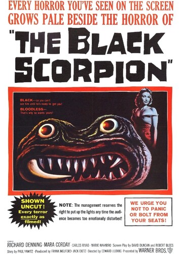 The Black Scorpion