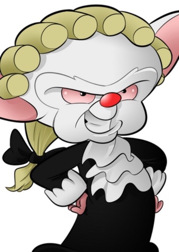 The Brain