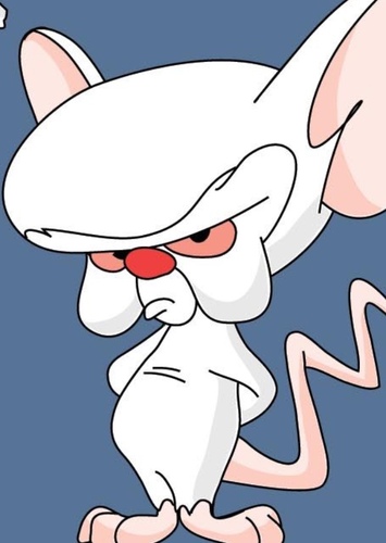 The Brain
