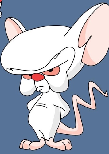 The Brain