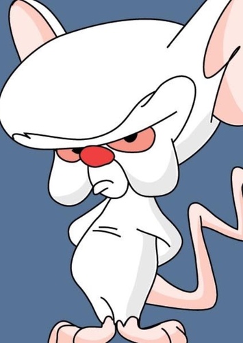 The Brain